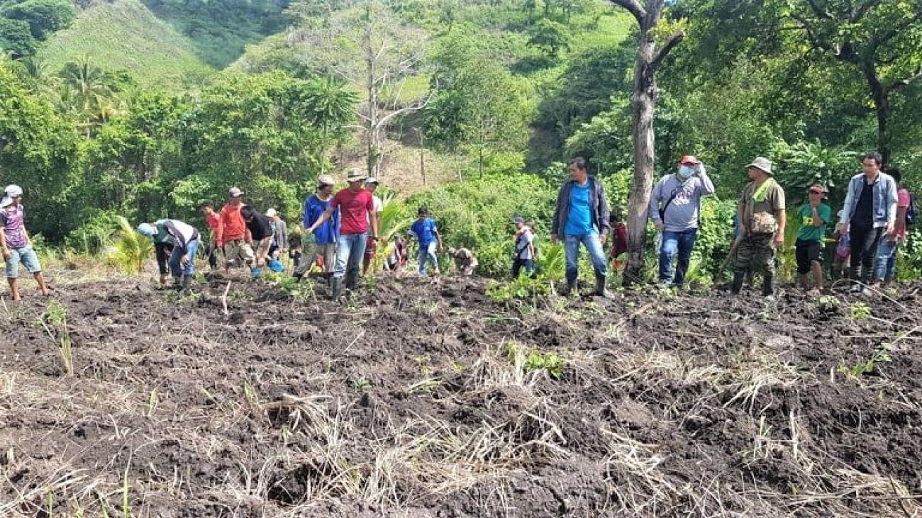 From fighters to forest rangers and farmers