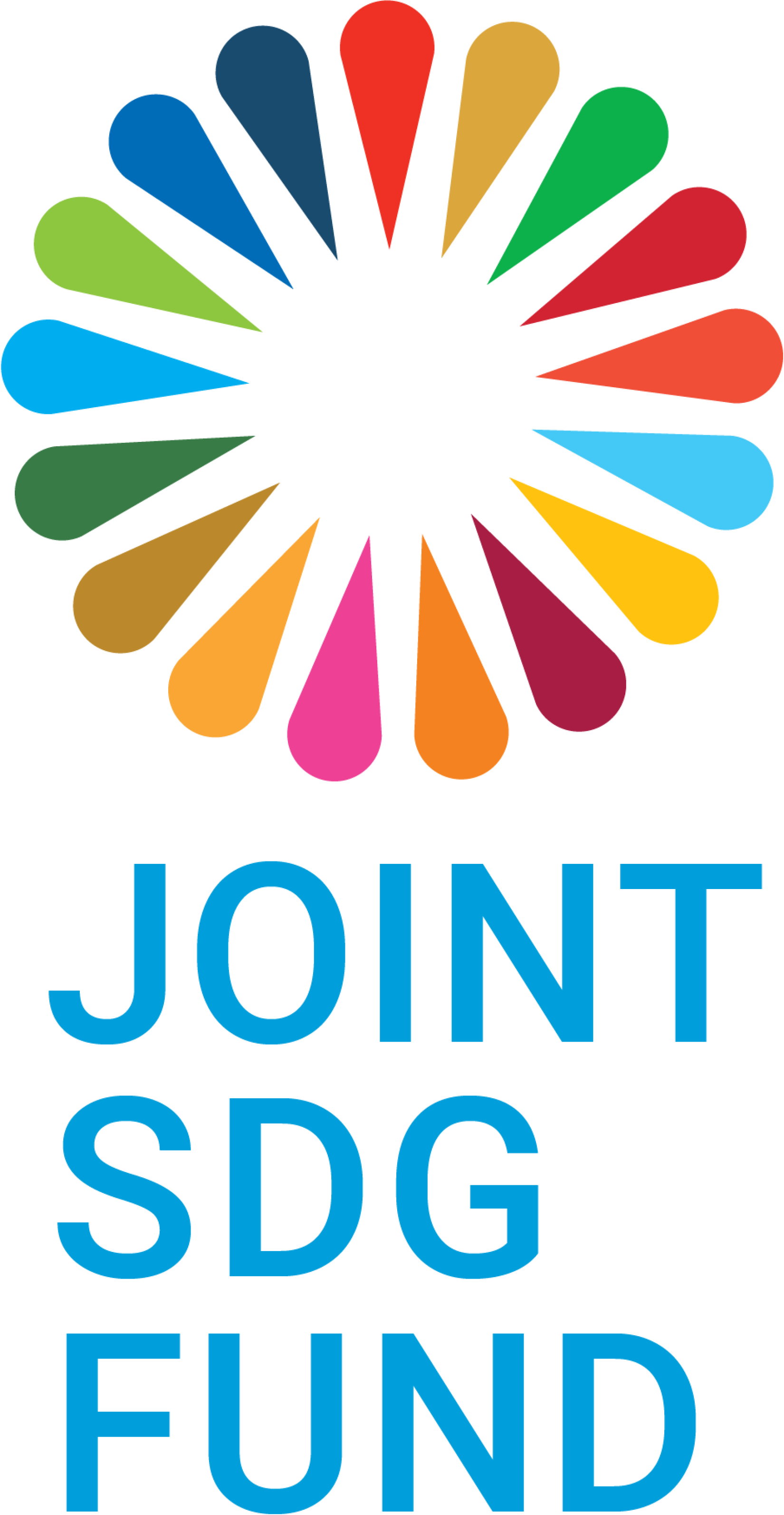 Joint SDG Fund logo