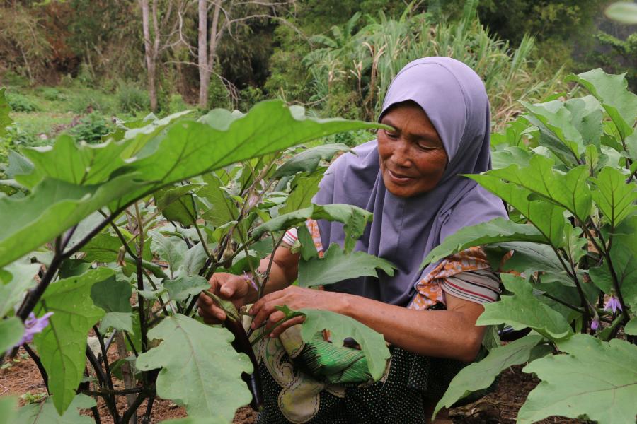 Mairah, 53, a widow farmer from Guimba Marawi City, Lanao del Sur, Philippines