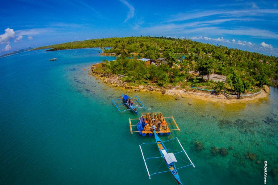 UN urges "Reimagine, Recreate, and Restore Our Ecosystems ...