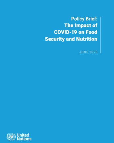 SG policy brief on the impact of COVID-19 on food security