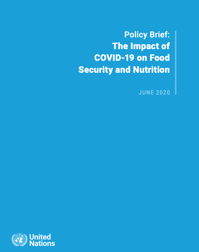 SG policy brief on the impact of COVID-19 on food security